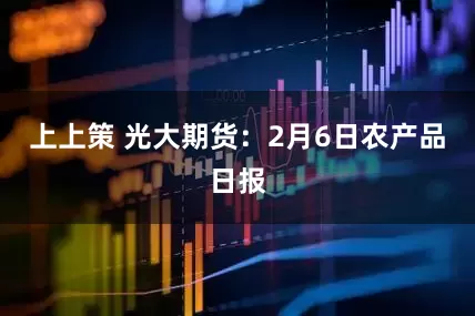 上上策 光大期货：2月6日农产品日报