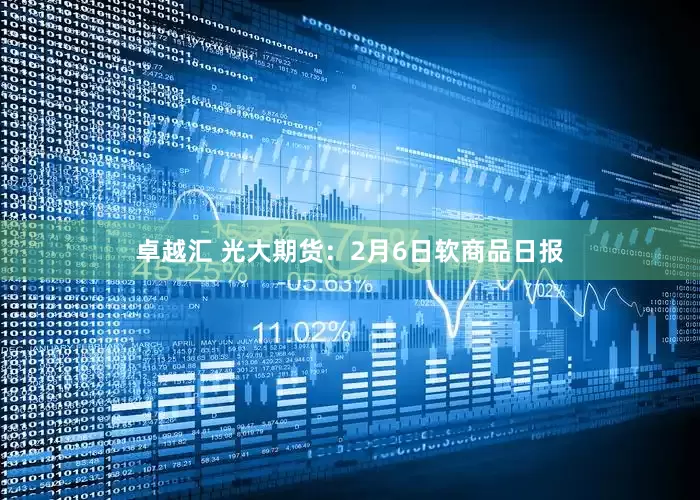 卓越汇 光大期货：2月6日软商品日报